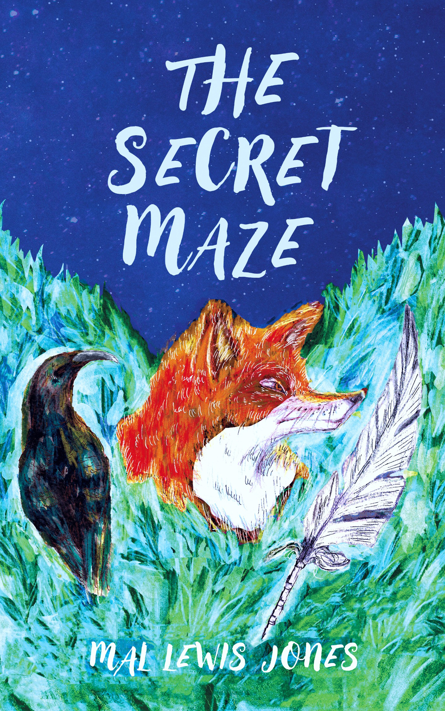 The Secret Maze. Mal Lewis Jones